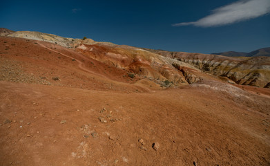 Wild nature of Altai mountains