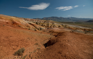 Wild nature of Altai mountains