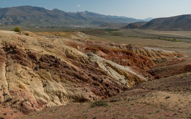 Wild nature of Altai mountains