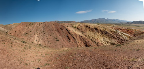 Wild nature of Altai mountains