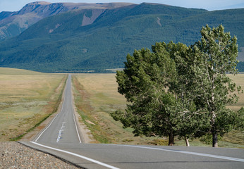 Obraz premium The nature of the Altai territory