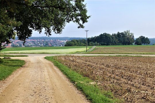 Abgeerntetes Feld