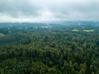 Fototapeta na wymiar drone image. aerial view of rural area with fields and forests. textured background