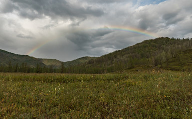 The nature of the Altai territory