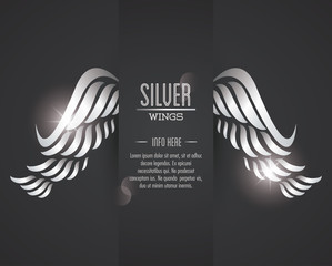 Luxury silver wings