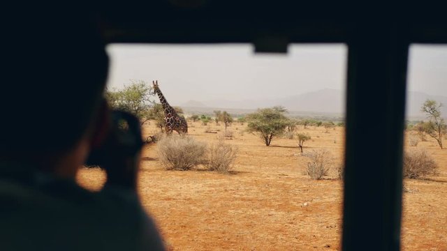 Photographer On Safari In Africa Takes Pictures Of A Wild Giraffe Out Of The Car