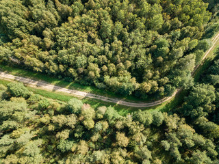 drone image. aerial view of rural gravel road in green forest and trees with shadows from above