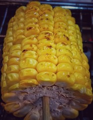 Roasted corn stick are done on the stove.