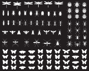 Black silhouettes of insects, vector