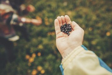 hand palm holding blueberries on background of sunny mountains and sky. travel and wanderlust...