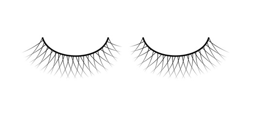 False eyelashes. Fake the cilia. Isolated on a white