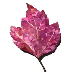 Polygon vector of autumn leaf, Red leaf low poly with shadow on white background