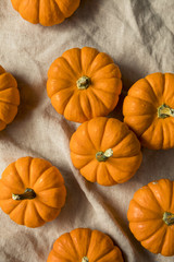Raw Organic Orange Mini Pumpkins