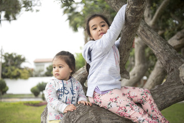 Two little sisters playing in the park tree outdoors