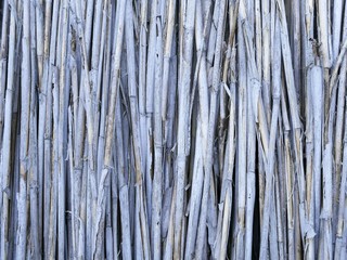 The texture of the old wall of reeds or bamboo in a natural environment, natural material