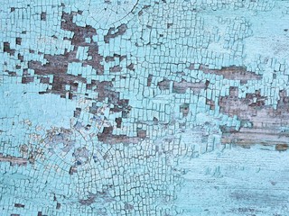 Texture of old wooden surface with crumbling blue paint