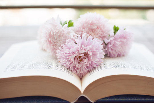 Bouquet of pink colors on the opened book