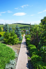 The territory of the arboretum. The Village Of Altai, Gorny Altai, Southern Siberia