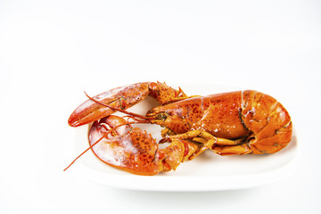 Canadian Lobster, delicious sweet and cooking a variety of steamed or fried curry is popular with the general public and health benefits