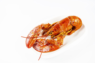 Canadian Lobster, delicious sweet and cooking a variety of steamed or fried curry is popular with the general public and health benefits