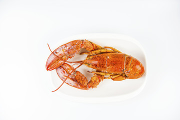 Canadian Lobster, delicious sweet and cooking a variety of steamed or fried curry is popular with the general public and health benefits