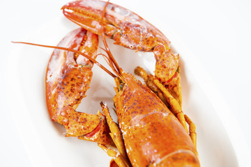 Canadian Lobster, delicious sweet and cooking a variety of steamed or fried curry is popular with the general public and health benefits