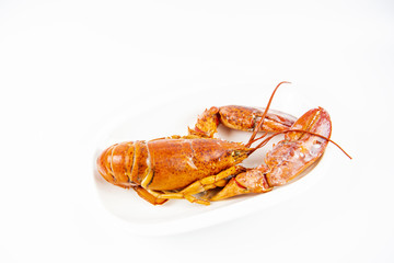 Canadian Lobster, delicious sweet and cooking a variety of steamed or fried curry is popular with the general public and health benefits