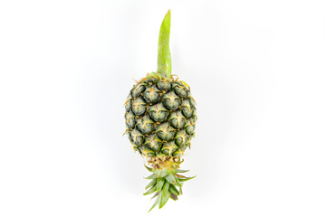 Pineapple fruit a delicious sweet and sour To a salad or made into juice and cooking is popular among the common people, and benefits the body