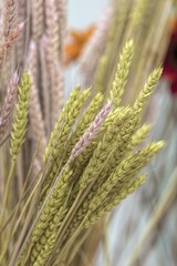 decorative ears for floral composition