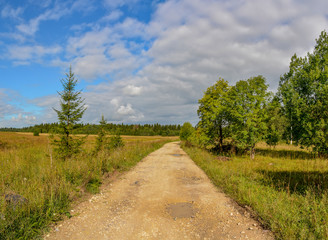 The road through the field in the Leningrad region to the farm.