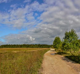 The road through the field in the Leningrad region to the farm.