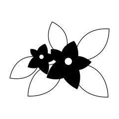Beautiful flowers cartoon in black and white