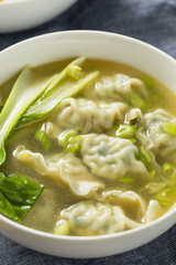 Homemade Chinese Wonton Soup