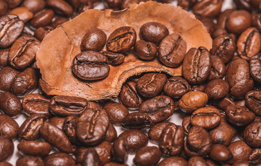 coffee beans background