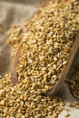 Organic Toasted Sesame Seeds