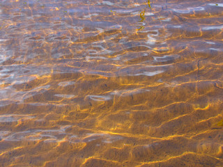Transparent water and bottom of lake background
