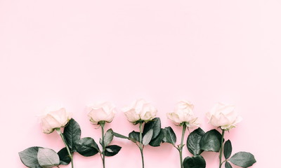Flowers composition. Frame made with pink roses with leaves on a pastel pink background. Flat lay, top view, copy space 
