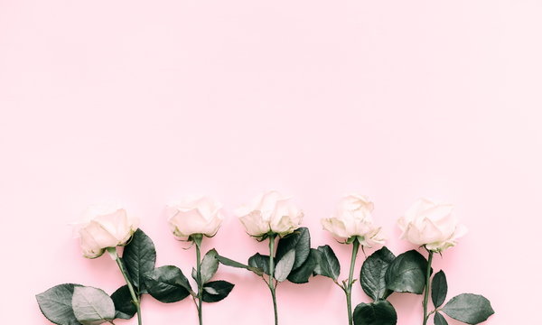 Fototapeta Flowers composition. Frame made with pink roses with leaves on a pastel pink background. Flat lay, top view, copy space