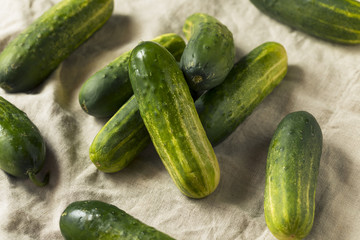 Raw Organic Green Pickling Cucumbers