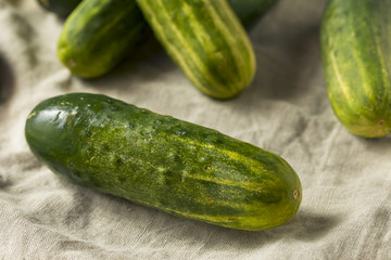Raw Organic Green Pickling Cucumbers