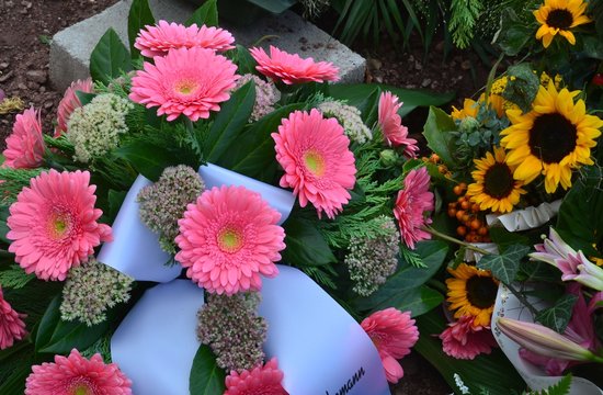 Blumengebinde der Trauer zur Beerdigung auf einem frischen Grab - rosa Gerbera und Sonnenblumen