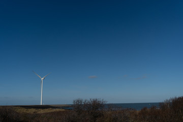 Windmill pano