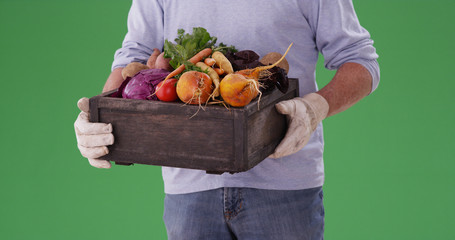 Closeup of male farmer carrying crate of vegetables on greenscreen