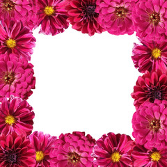 Fototapeta premium Beautiful floral background of tsiniyas and dahlias 