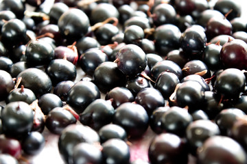 currant background closeup