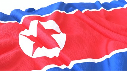 3d render, Realistic Wavy Flag of north korea .