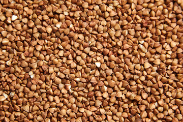 Buckwheat grains. Dry brown kernel as background