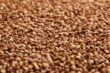 Buckwheat grains. Dry brown kernel as background