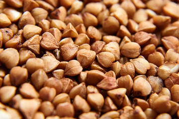 Buckwheat grains. Dry brown kernel as background. Selective focus
