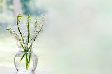 Bouquet of lily of the valley blossoms; soft light illuminating the delicate flowers for a clean fresh look.
